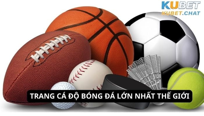 Trang cá độ bóng đá lớn nhất thế giới